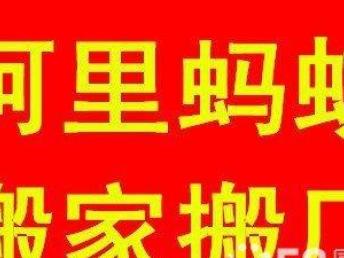 圖 深圳阿里螞搬家四星級企業,15年搬家經驗,全天服務 深圳搬家