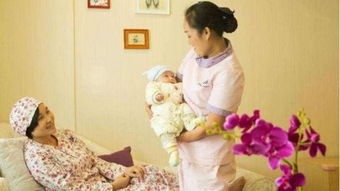 圖片,海量精選高清圖片庫 吳中經濟技術開發區艾美諾家政服務部