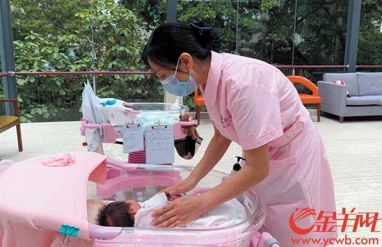 顧家的家政服務員是如何培養的